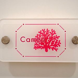 Apartamento Estándar